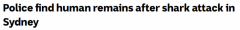悉尼发生鲨鱼袭人事件！潜水者被拖下水面遇害