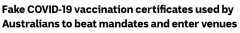 澳人网购假疫苗接种证明，成功骗过商家！当局