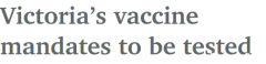 维州成立新调查组，审查疫苗强制接种令（图）