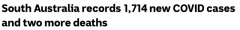 南澳新增1714例，两人病亡！活跃病例数超1.5万，