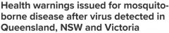 澳洲多地发现蚊媒病毒，恐致乙脑等严重疾病！