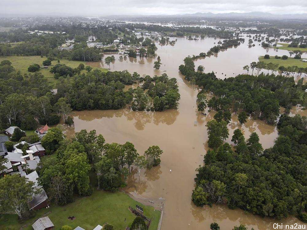 澳大利亚洪灾，老鼠和青蛙爬到蛇身上避难，洪灾后会出现蛇灾吗？