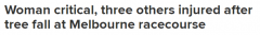 澳大树倒塌砸中4人，1人性命垂危（图）