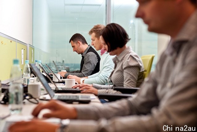 Employees working on laptops in an office.