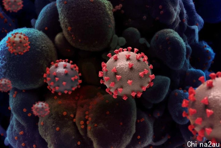 A microscopic image of a coronavirus molecule.