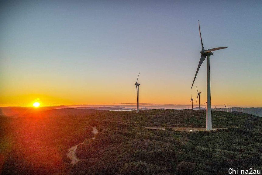 A pic of a coastal wind farm with a sun setting in the background