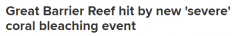 几度大规模珊瑚白化，澳洲大堡礁再遇危机！专