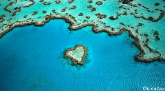 全球气温升高，澳洲大堡礁遭白化打击！联合国