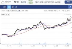 煤矿商New Hope上半财年业绩扭亏为盈 股息飙升6