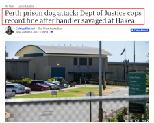 西澳司法部被开百万罚单！珀斯监狱缉毒犬严重