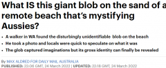 澳洲海滩惊现神秘生物！体型巨大外观奇特，引