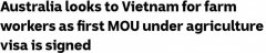 澳政府与越南签署“农业签证”谅解备忘录！农