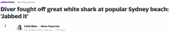 注意！悉尼热门海滩疑现大白鲨，潜水员徒手吓