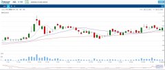 锂矿公司AZL获得3250万澳元融资以快速推进Big Sa