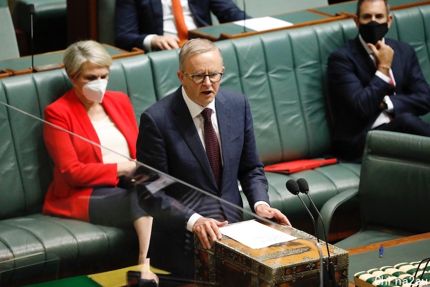 Anthony Albanese speaks in the House of Representatives