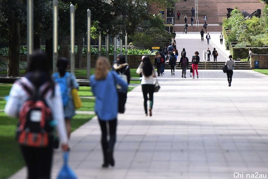 Students at the University of New South Wales