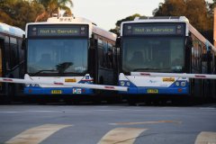 悉尼巴士司机们计划下周一罢工24小时