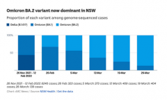 澳洲仅重症通报致轻忽，新州2.5个月内确诊病例