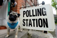 四成多新晋选民尚未登记大选投票 选委会呼吁民众尽早注册
