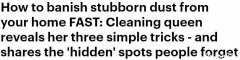 澳宝妈分享3个除尘妙招，教你用4种材料自制驱尘剂，获网友夸赞（视频/组图）