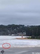 澳洲现6米高巨浪！“小型海啸”来袭！