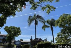 澳洲出租房空置率下滑 部分首府城市房租一年最高飙升21%