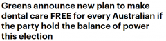 绿党党魁：若在大选后保持权力平衡，将把牙科保健纳入个人医保（组图）
