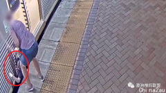惊魂！澳洲男孩在火车站被“生吞”，妈妈大叫救命（图）