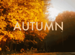 墨尔本的秋天即将刷屏！摘板栗、泡温泉、狩紅葉…四月天里好玩的一个也不能少（组图）