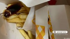 慎点！澳洲一男子打开麦当劳外卖，发现附赠“鲜活小玩具”（多图）