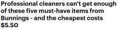 便宜又好用！澳专业清洁工推荐去Bunnings必买的5款“清洁神器”（视频/组图）
