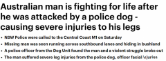 新州男子与警察发生打斗，双腿被警犬咬伤！伤势严重，紧急送医（组图）