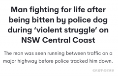 澳洲失踪男子惊现高速一路狂奔，暴力拒捕差点被警犬咬死