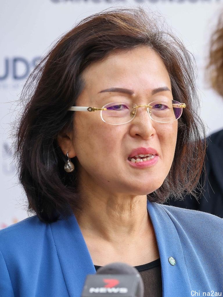 Liberal MP Gladys Liu. Picture: NCA NewsWire / Ian Currie