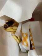 超恶心：澳男点个麦当劳，竟然在薯条里发现活蟑螂，看吐了