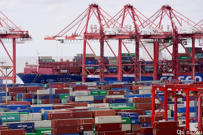 Several red cranes sit among dozens of shipping containers at a port in China