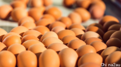 复活节导致全塔鸡蛋短缺？旅游餐饮业火爆带动鸡蛋销售，预计要下半年才能解决鸡蛋困境！