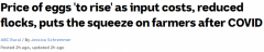 超市鸡蛋供应紧张，澳人需求激增！价格可能要上涨...