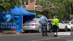 悉尼三名出租车司机公园碰头嗑药，一人当场死亡