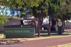 澳洲监狱搞不定重刑犯,干脆关门放恶犬以暴制暴,场面让人惊呆！