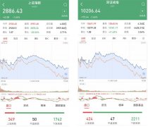 2900点失守！沪指再遇挫：近4000股下跌，305股跌停，后市逢低布局三大细分领域