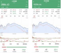 2900点失守！沪指再遇挫：近4000股下跌，305股跌停，后市逢低布局三大细分领域