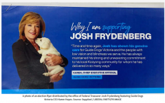 维州导盲犬协会CEO因在公开选举宣传材料中支持弗莱登伯格被停职