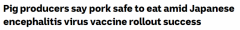澳洲成功推出日本脑炎疫苗，专家：猪肉供应链正常，也请消费者放心食用（组图）