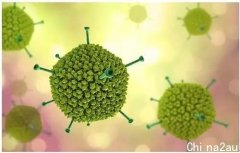 英国最新报告：儿童突发性肝炎与腺病毒有关，有合并感染等可能！