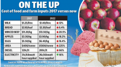 真的连饭都吃不起了！澳洲超市最基本食品价格暴涨