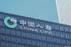 中国人寿一季度净利缩水近半，都是A股惹的祸？
