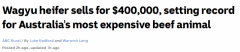 一头小母牛$40万，中国企业买下澳洲“最贵牛”！惊呆饲养员...专家却表示：可能赚更多（组图）