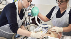 墨尔本医院引进新技术，成功降低新冠患者死亡率！