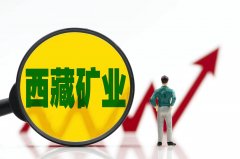 西藏矿业Q1净利增逾5倍，规划2025年底前锂盐规模达3-5万吨｜看财报